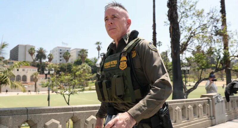 Illinois appeals court blocks order requiring CBP chief's check-ins