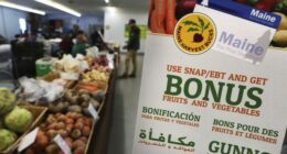 Iowa Rep Introduces New Stand-Alone SNAP Funding Bill to Sidestep Schumer Shutdown