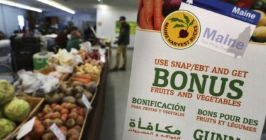Iowa Rep Introduces New Stand-Alone SNAP Funding Bill to Sidestep Schumer Shutdown