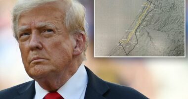 Israel agrees to 'initial withdrawal line' in Gaza, Trump says