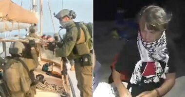 Israeli military arrests Greta Thunberg, flotilla activists after intercepting dozens of boats