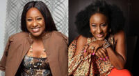 This famous structure is nothing more than political theft and violence – Ireti Doyle