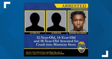 Jacksonville teens arrested in furniture store crash