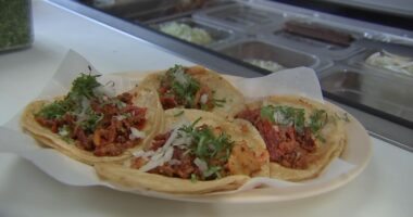 Jaisol's Taco Tour 2025: Heir to carnitas throne, Marcos Carbajal, shares favorite authentic Little Village, Pilsen spots