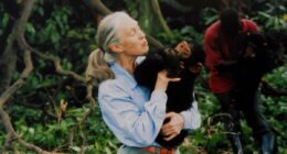 Jane Goodall dead at 91: Primatologist passes away peacefully in US