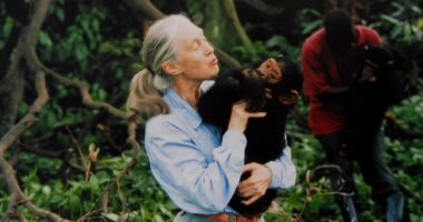 Jane Goodall dead at 91: Primatologist passes away peacefully in US