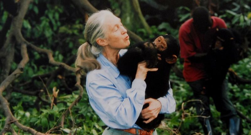 Jane Goodall dead at 91: Primatologist passes away peacefully in US
