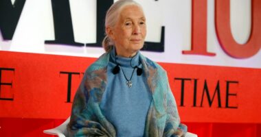 Jane Goodall wanted to send Trump, Xi, other people she didn't like into space