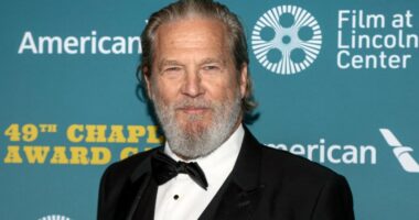 Jeff Bridges channels The Dude to slam ICE: Get 'off the streets and into our beverages, man'