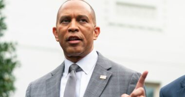 Jeffries: House Democrats to meet virtually Monday as shutdown drags on