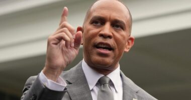 Jeffries: Trump hasn't given Johnson 'permission' to meet over shutdown