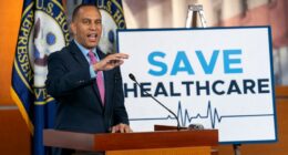 Jeffries says 'no Democrat' trying to give health care to migrants without legal status