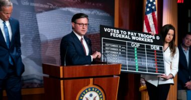 Johnson says Democrats are to blame for looming lapse in military pay