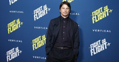 Josh Hartnett car crash resulted in major damage to BOTH vehicles