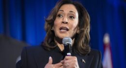 Kamala Harris says 'guardrails' on Trump 'have failed'