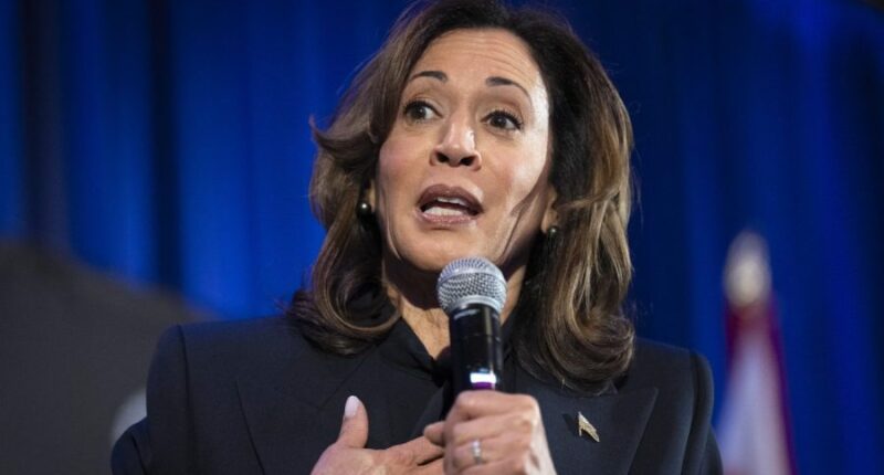 Kamala Harris says 'guardrails' on Trump 'have failed'