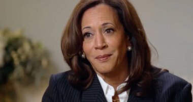 Kamala Harris teases new White House run: 'I am not done'