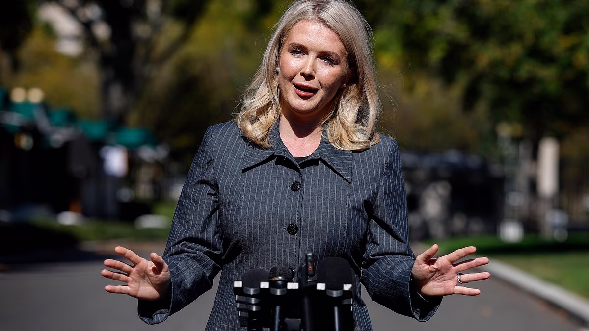 Karoline Leavitt calls Democrats 'Hamas terrorists' while claiming Trump 'freed Palestine, literally'