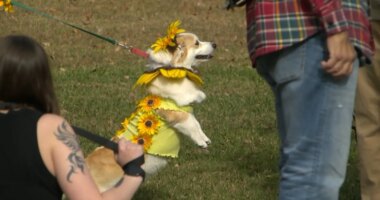 Kingsport pets prayed for at annual 'Blessing of the Animals'