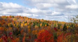 Clouds sit over fall foliage in Clarksville, N.H., on Thursday, Oct. 9, 2025. (AP Photo/Holly Ramer)