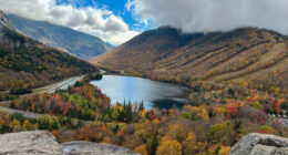Leaf-peeping season hampered by drought: Fall foliage dropping sooner, showing less color