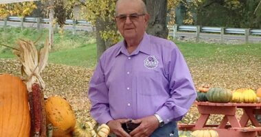 Local farmer has 300 pumpkins worth $6K snatched from his field