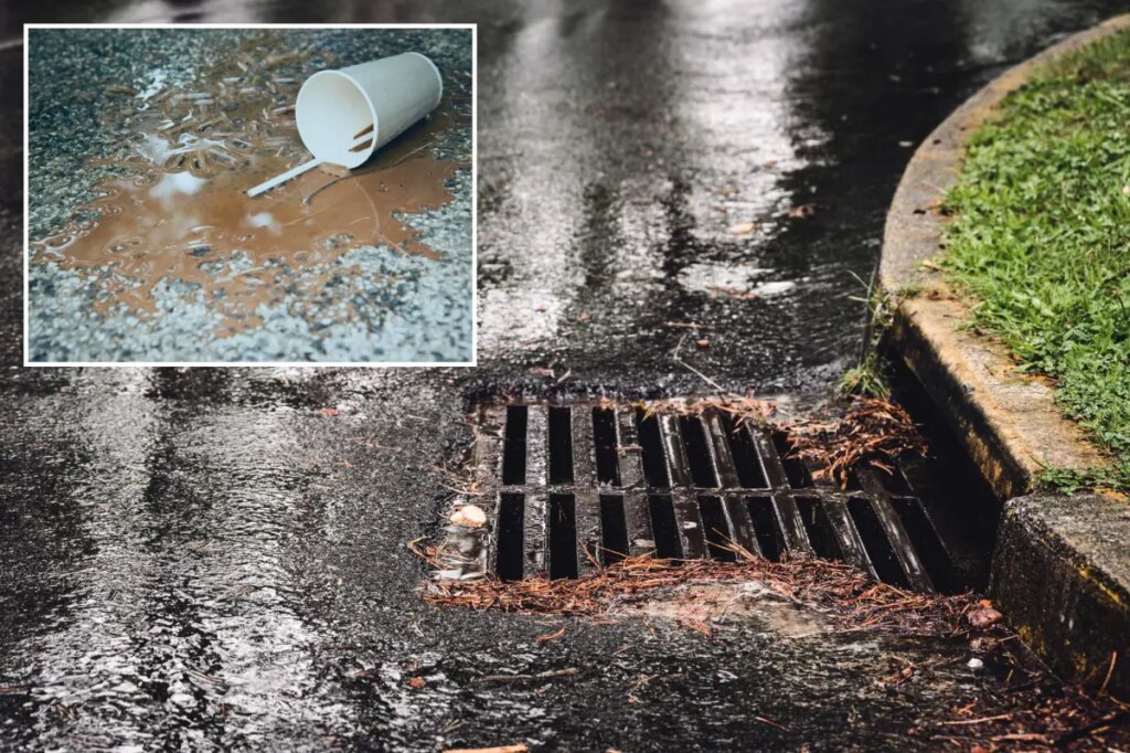 London woman fined 150 pounds for pouring splash of coffee down storm drain before hopping onto bus