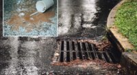 London woman fined 150 pounds for pouring splash of coffee down storm drain before hopping onto bus