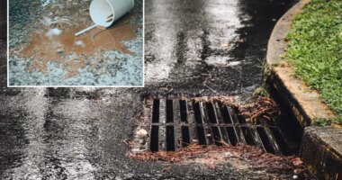 London woman fined 150 pounds for pouring splash of coffee down storm drain before hopping onto bus