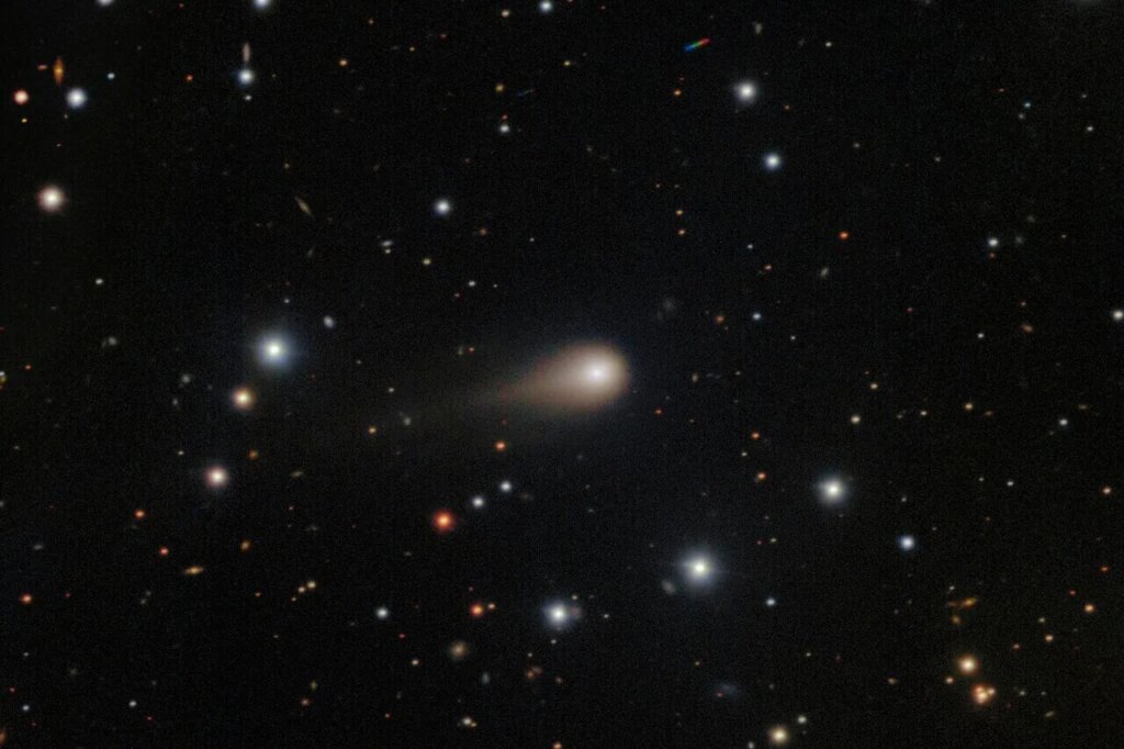 Look Up! Three Meteor Showers Lighting Up the Night Sky