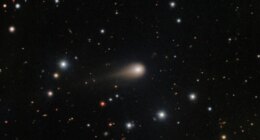 Look Up! Three Meteor Showers Lighting Up the Night Sky