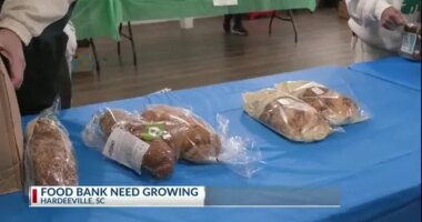Lowcountry charities already seeing increased demand before SNAP deadline