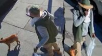 Machete-wielding offender with 20 arrests charged in blue city hit-and-run that killed cancer survivor