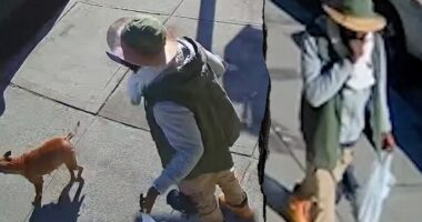 Machete-wielding offender with 20 arrests charged in blue city hit-and-run that killed cancer survivor