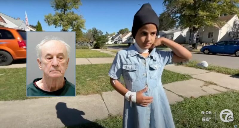 Man accused of slashing girl's throat at park sued by family