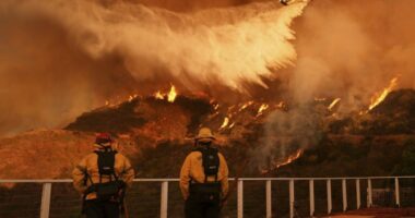 Man arrested in connection with deadly Los Angeles wildfire