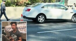 Man fleeing immigration agents is fatally struck by a vehicle on a Virginia highway