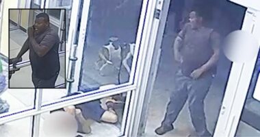 Man in a coma after being punched by suspect at Aldi: Police