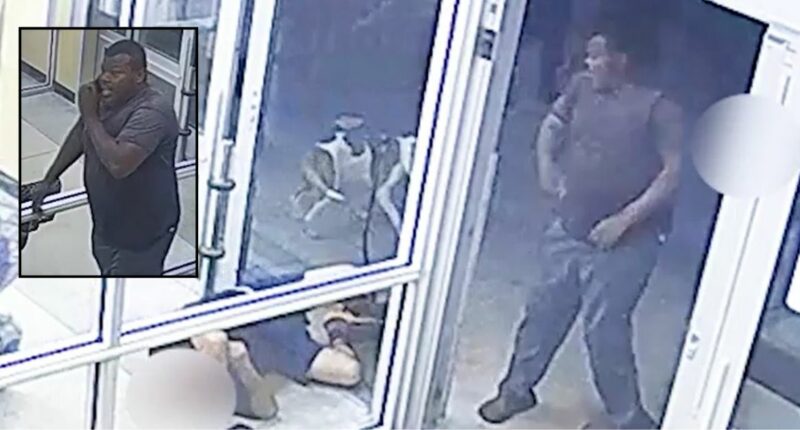 Man in a coma after being punched by suspect at Aldi: Police