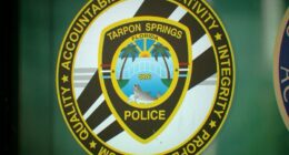 Man killed after running across U.S. 19 in Tarpon Springs, being hit by 2 cars: police