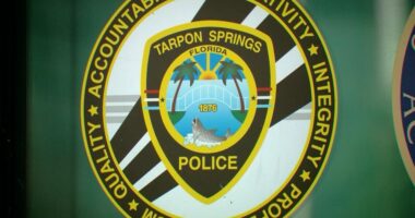 Man killed after running across U.S. 19 in Tarpon Springs, being hit by 2 cars: police