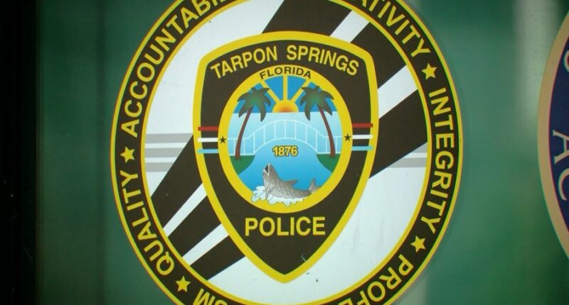 Man killed after running across U.S. 19 in Tarpon Springs, being hit by 2 cars: police