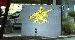 Man stabbed to death in workplace conflict at Anheuser-Busch facility; Suspect in custody, JSO says