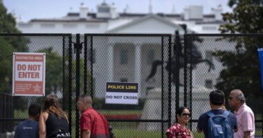 Man taken into custody after driving car into White House gate: Secret Service