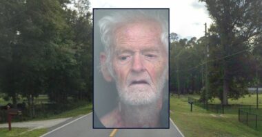 Man tried to kill family to end 'suffering': Sheriff