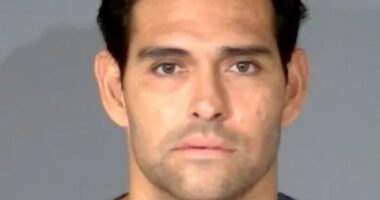 Mark Sanchez defense will be 'very difficult': Ex-prosecutor