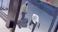 Masked looters caught on camera trashing Florida store, stealing clothes