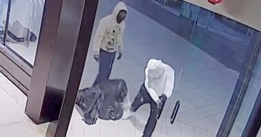 Masked looters caught on camera trashing Florida store, stealing clothes