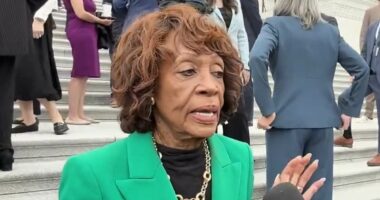 Maxine Waters ADMITS Dems are shutting down gov to fund illegals
