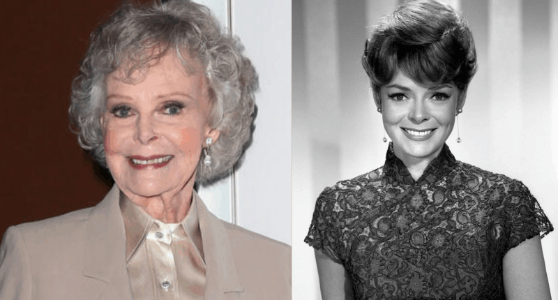 Meet Actress June Lockhart Family: Husband And Kids Revealed